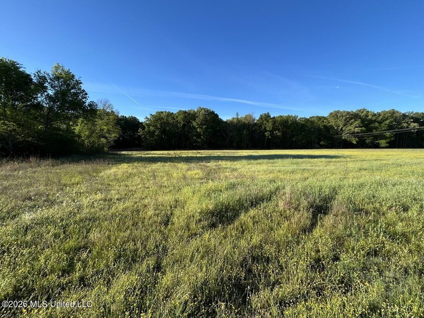 White Oak 266 is a 266+/- acre tract in Hinds County right on - photo 24