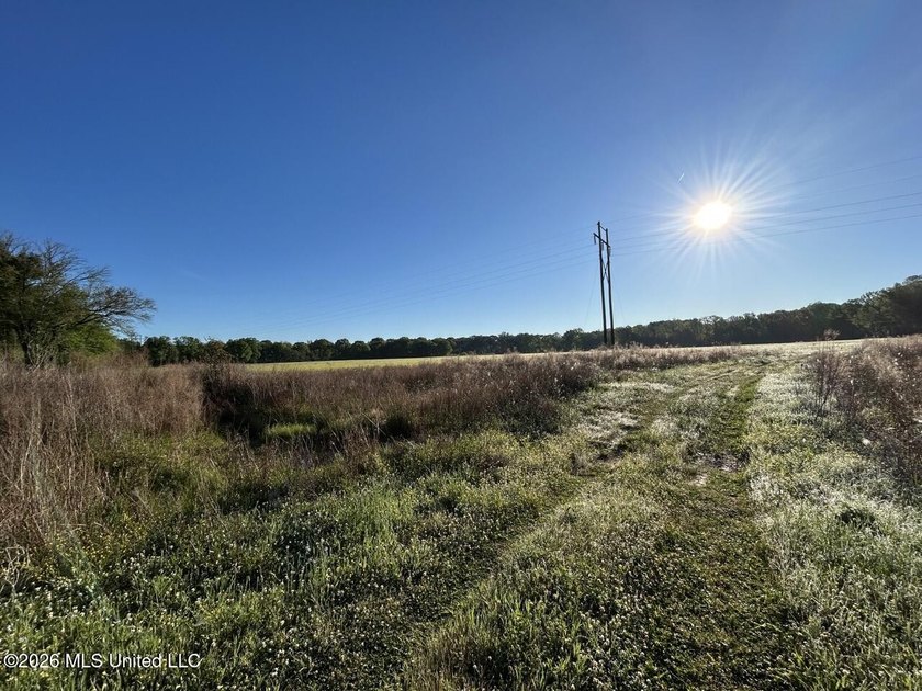 White Oak 266 is a 266+/- acre tract in Hinds County right on - photo 25