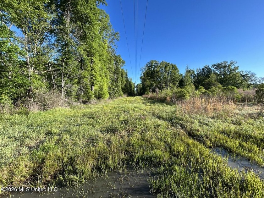 White Oak 266 is a 266+/- acre tract in Hinds County right on - photo 26