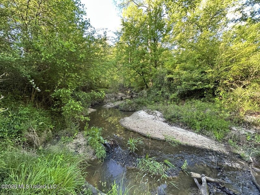 White Oak 266 is a 266+/- acre tract in Hinds County right on - photo 28