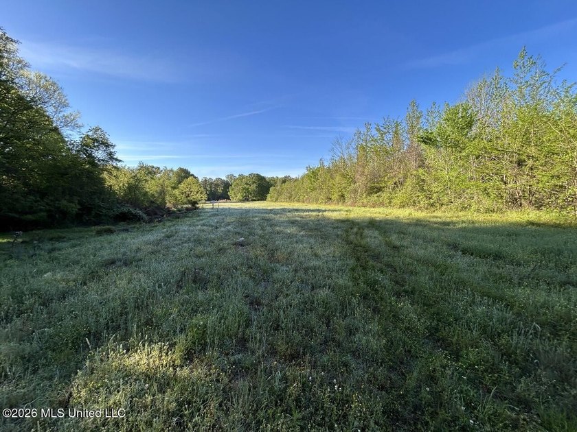 White Oak 266 is a 266+/- acre tract in Hinds County right on - photo 30