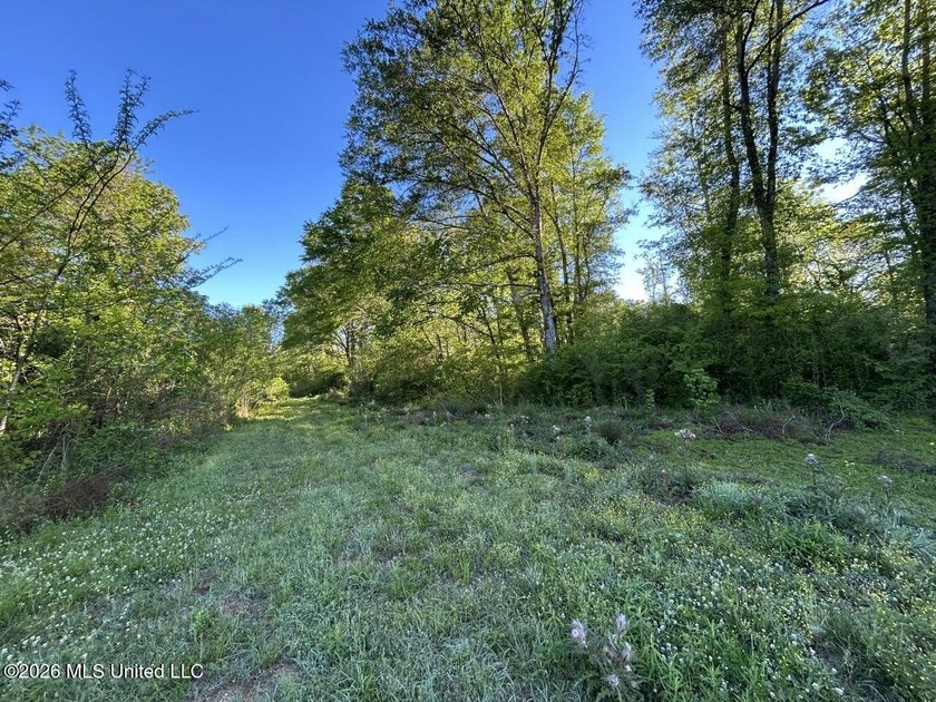 White Oak 266 is a 266+/- acre tract in Hinds County right on - photo 31