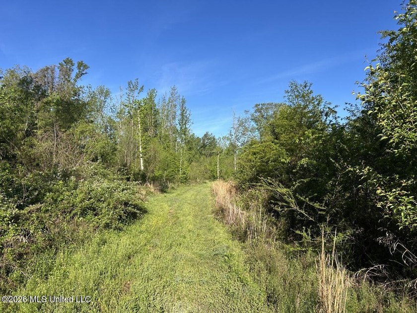 White Oak 266 is a 266+/- acre tract in Hinds County right on - photo 33