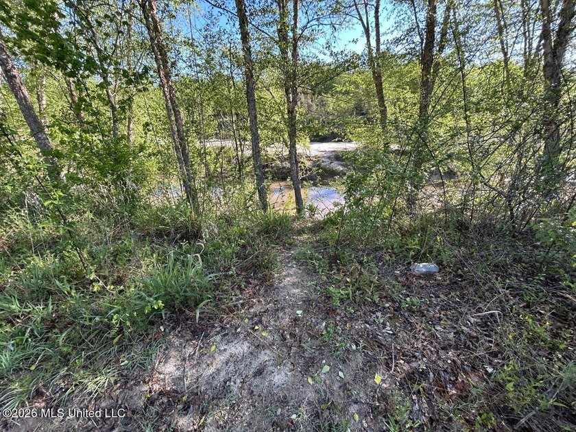 White Oak 266 is a 266+/- acre tract in Hinds County right on - photo 36