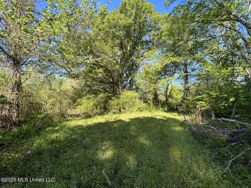 White Oak 266 is a 266+/- acre tract in Hinds County right on - photo 38