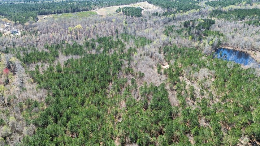 Explore the possibilities with this beautiful 77-acre tract in - photo 17