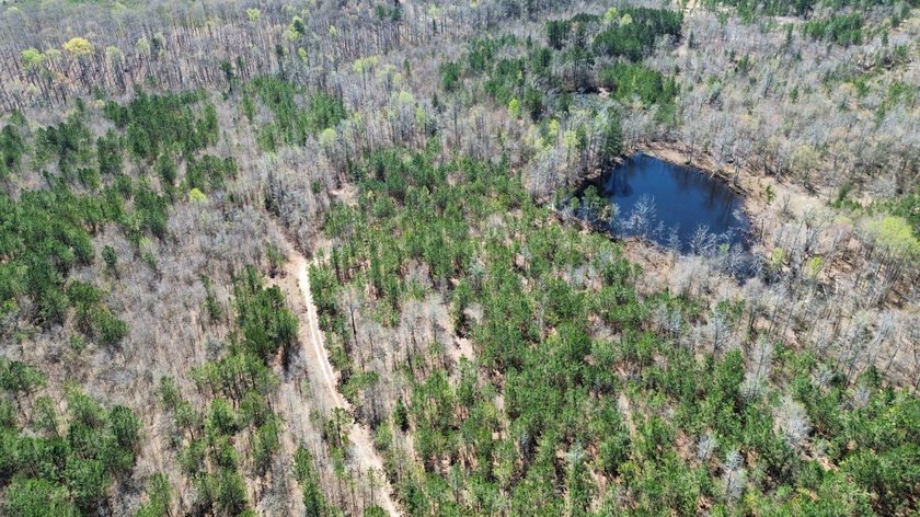 Explore the possibilities with this beautiful 77-acre tract in - photo 18