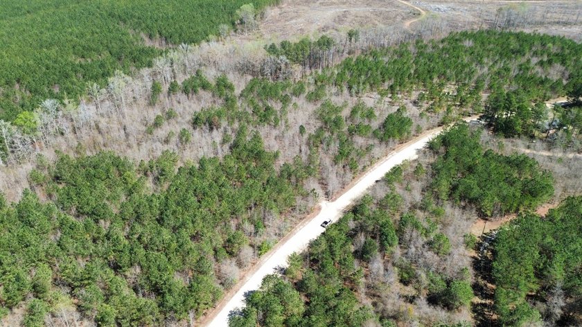 Explore the possibilities with this beautiful 77-acre tract in - photo 22