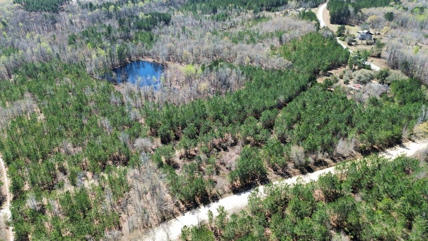 Explore the possibilities with this beautiful 77-acre tract in - photo 25