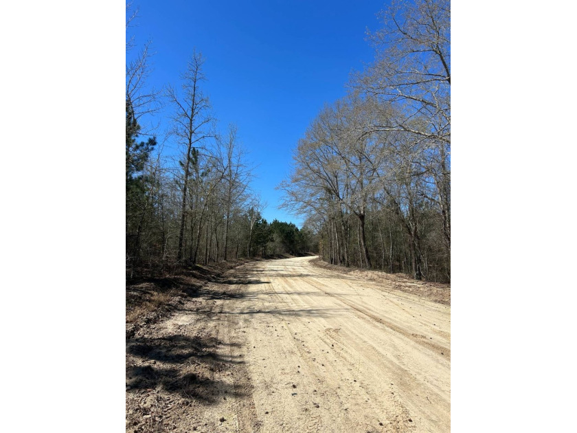 Explore the possibilities with this beautiful 77-acre tract in - photo 31