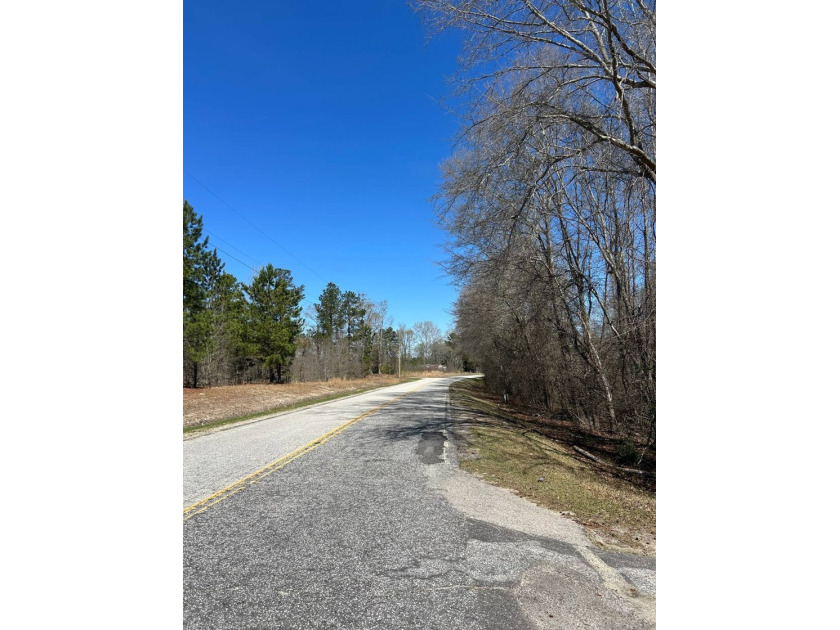 Explore the possibilities with this beautiful 77-acre tract in - photo 36