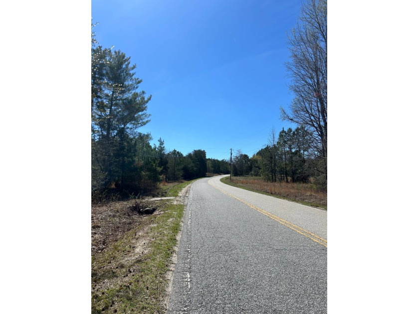 Explore the possibilities with this beautiful 77-acre tract in - photo 42