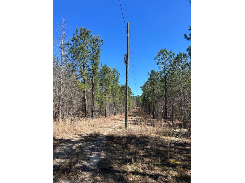 Explore the possibilities with this beautiful 77-acre tract in - photo 44