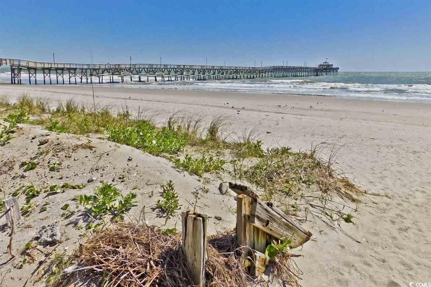 Gorgeous Marina views from this updated 2-bedroom, 2 bath END - photo 42