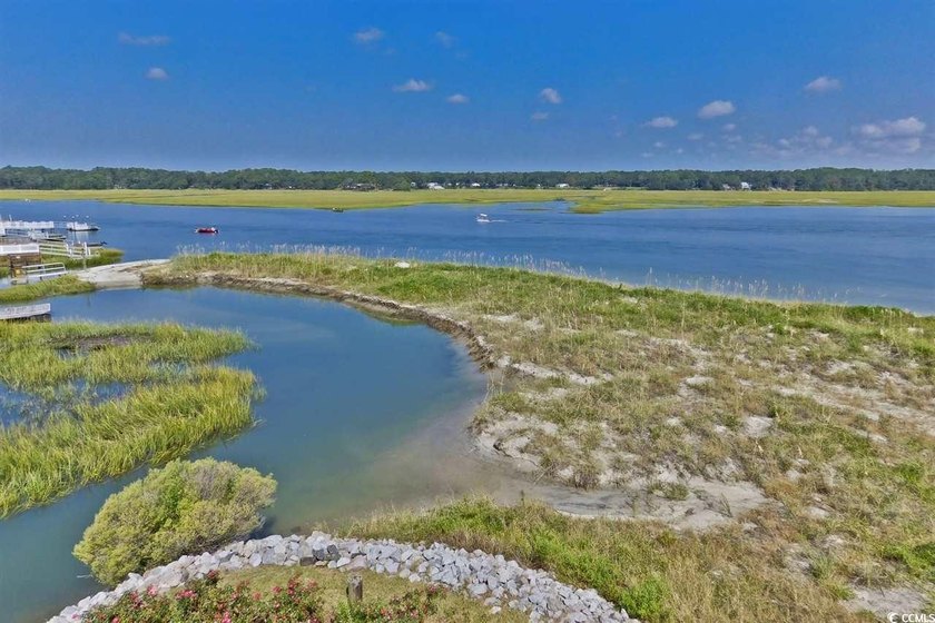 Gorgeous Marina views from this updated 2-bedroom, 2 bath END - photo 43