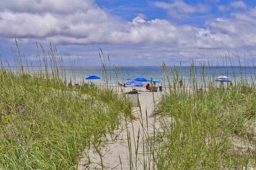 Gorgeous Marina views from this updated 2-bedroom, 2 bath END - photo 45