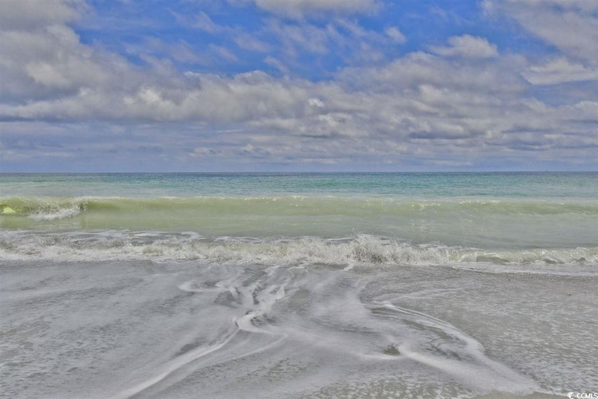 Gorgeous Marina views from this updated 2-bedroom, 2 bath END - photo 46