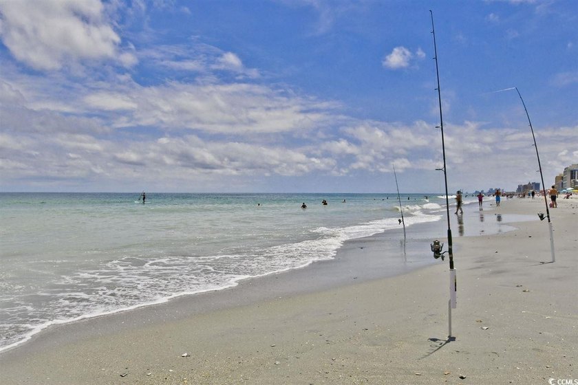 Gorgeous Marina views from this updated 2-bedroom, 2 bath END - photo 47