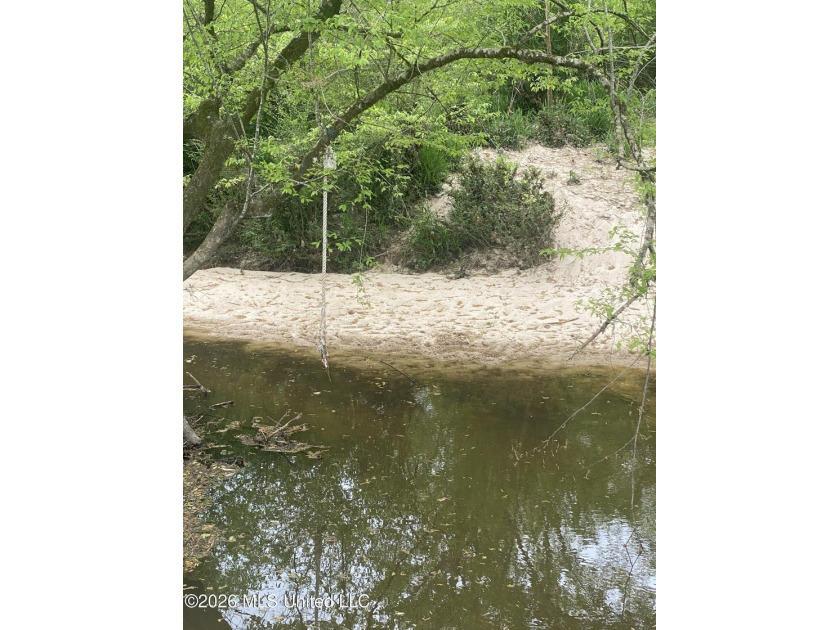 Hunting and Recreational retreat - 398+/- Acres in Amite County - photo 11