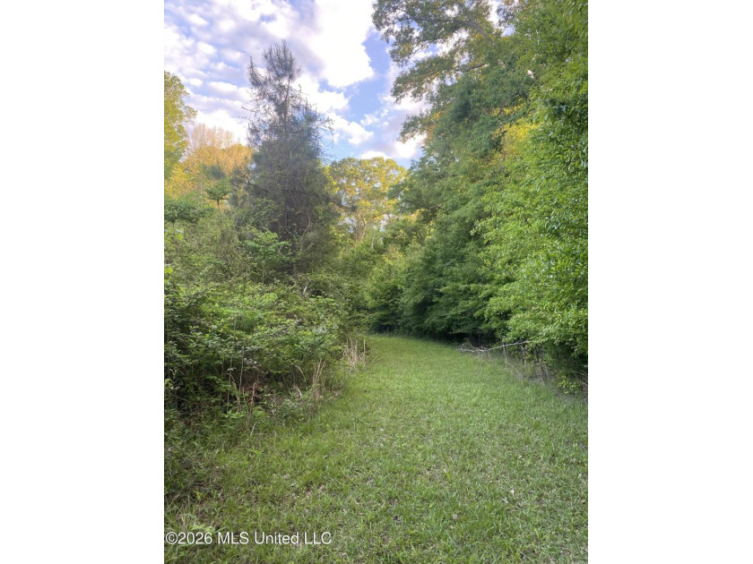 Hunting and Recreational retreat - 398+/- Acres in Amite County - photo 23