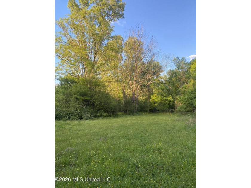 Hunting and Recreational retreat - 398+/- Acres in Amite County - photo 25
