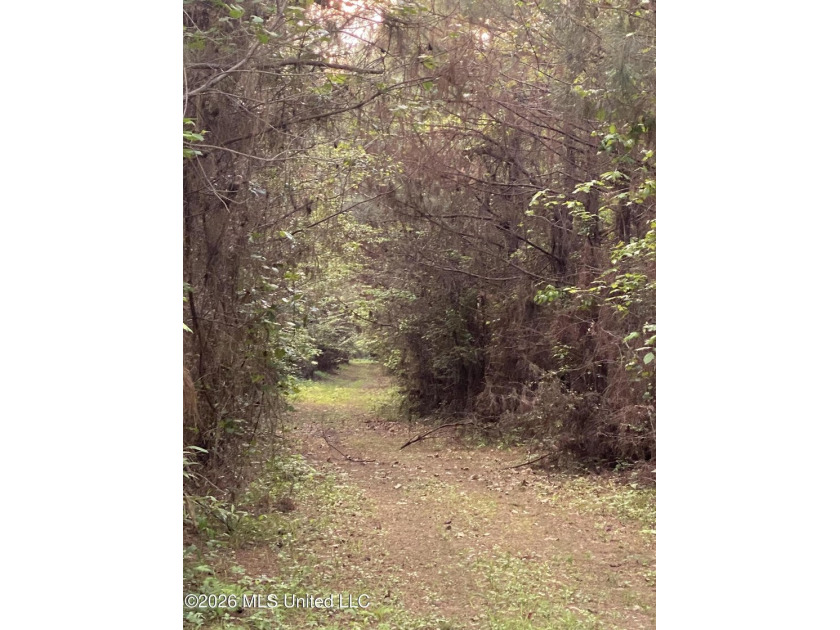Hunting and Recreational retreat - 398+/- Acres in Amite County - photo 27