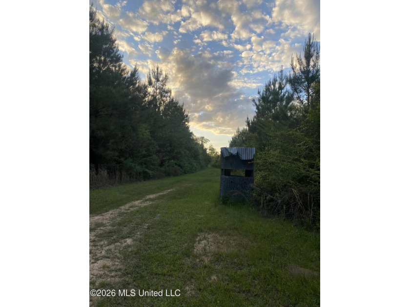 Hunting and Recreational retreat - 398+/- Acres in Amite County - photo 31