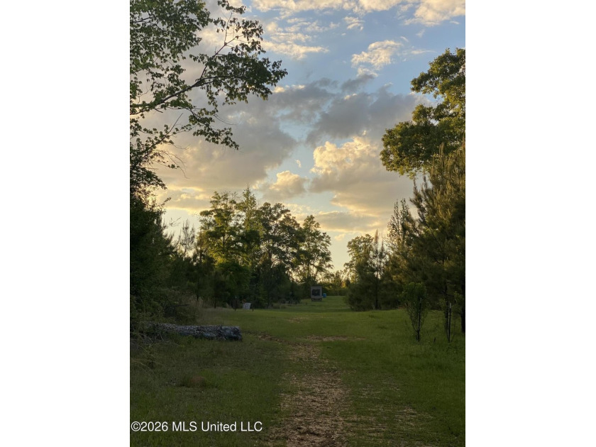 Hunting and Recreational retreat - 398+/- Acres in Amite County - photo 32