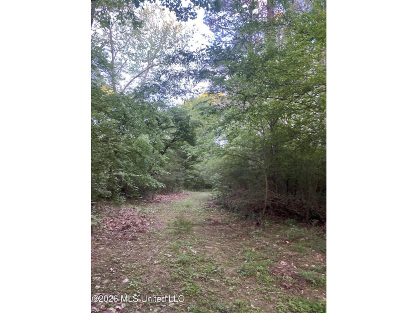 Hunting and Recreational retreat - 398+/- Acres in Amite County - photo 34