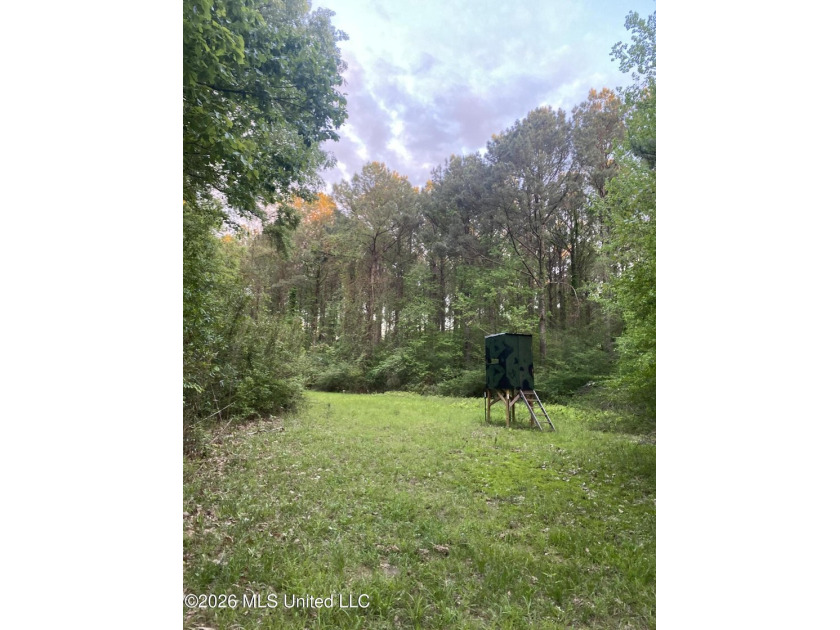 Hunting and Recreational retreat - 398+/- Acres in Amite County - photo 35