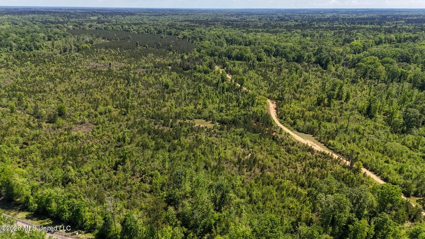 Hunting and Recreational retreat - 398+/- Acres in Amite County - photo 38