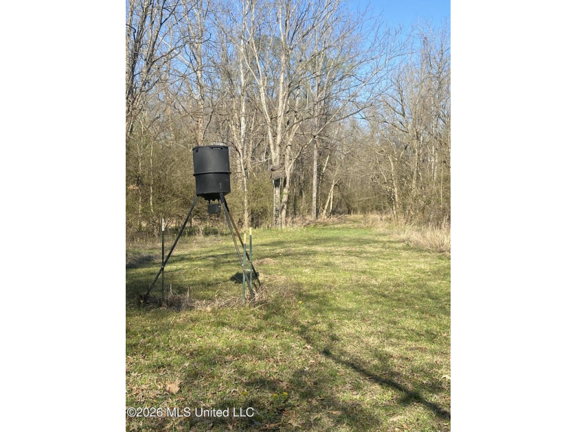 Hunting and Recreational retreat - 398+/- Acres in Amite County - photo 41