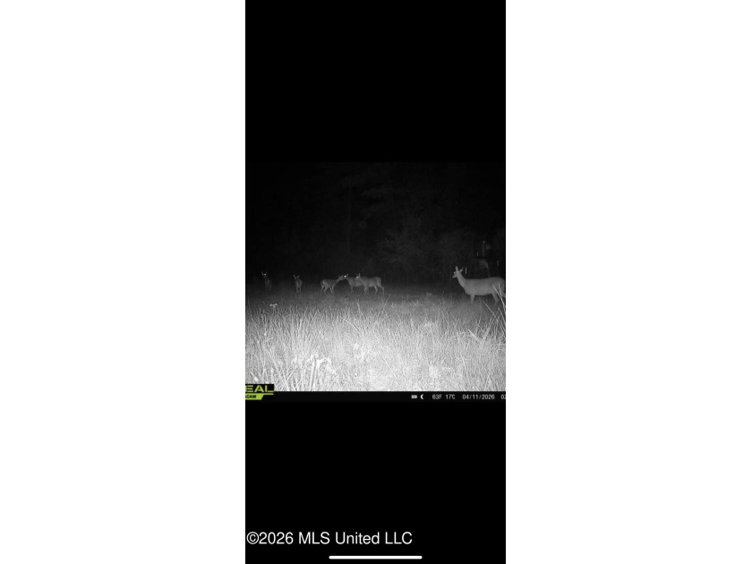 Hunting and Recreational retreat - 398+/- Acres in Amite County - photo 48