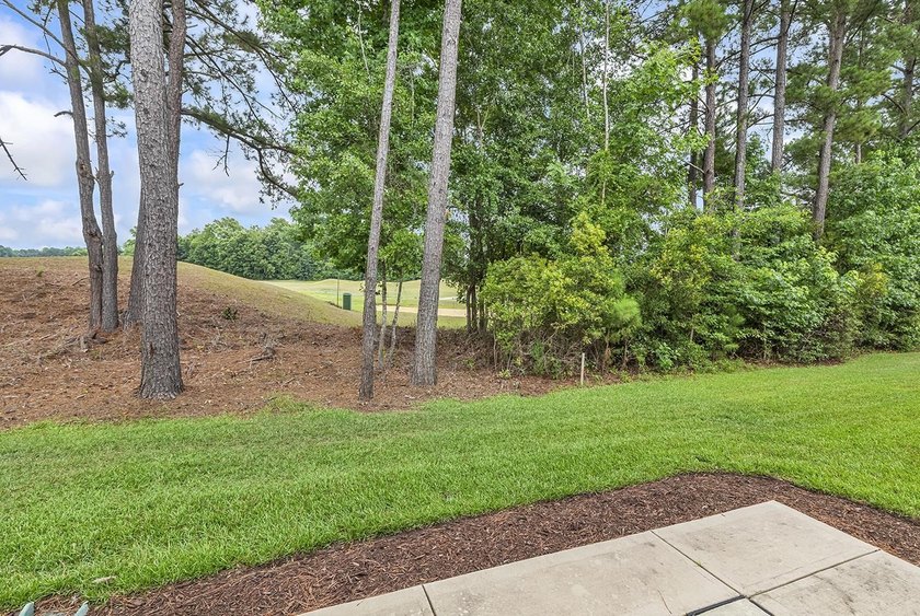 Welcome to Blackwater at the Dye Estates. This 3 bedroom 2 1/2 - photo 11