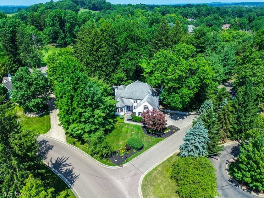 Step into an extraordinary two-story foyer where timeless - photo 28