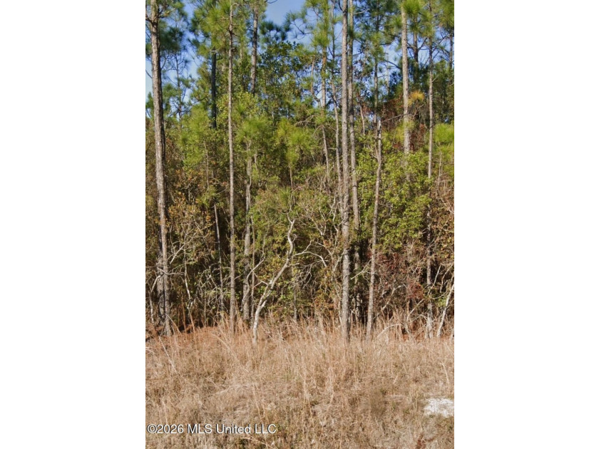 Discover the perfect canvas for your dream home on this - photo 3