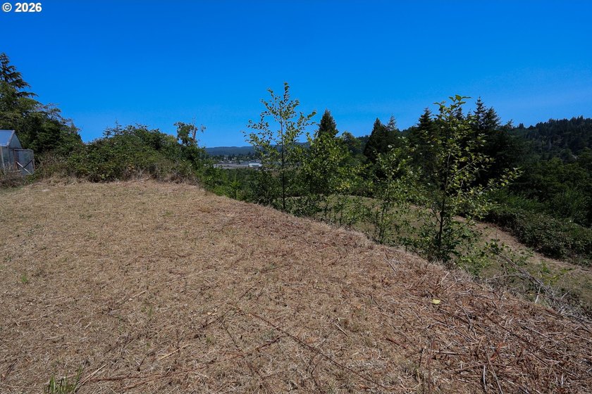 43-acre hilltop terraced lot offering beautiful views of the - photo 18