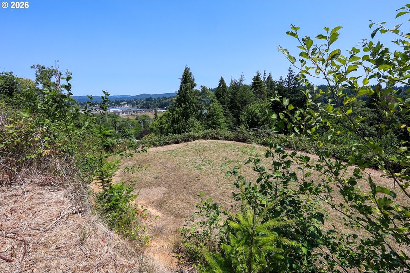 43-acre hilltop terraced lot offering beautiful views of the - photo 19
