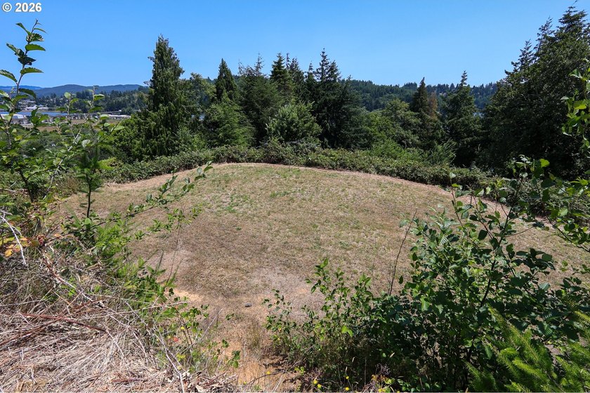 43-acre hilltop terraced lot offering beautiful views of the - photo 20