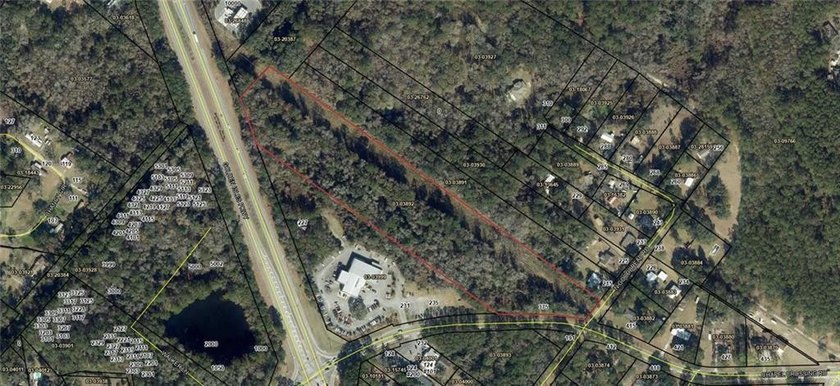 10 acres approx. fronting both Chapel Crossing &amp; Spur 25/Golden - photo 8