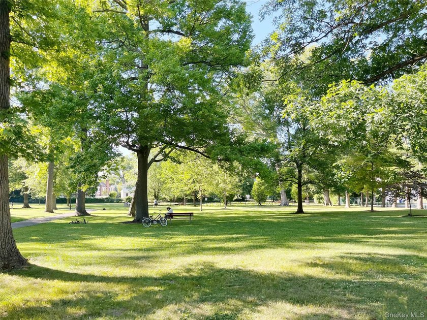 Experience luxury and convenience at 10 Canterbury Rd, Apt 1B - photo 15