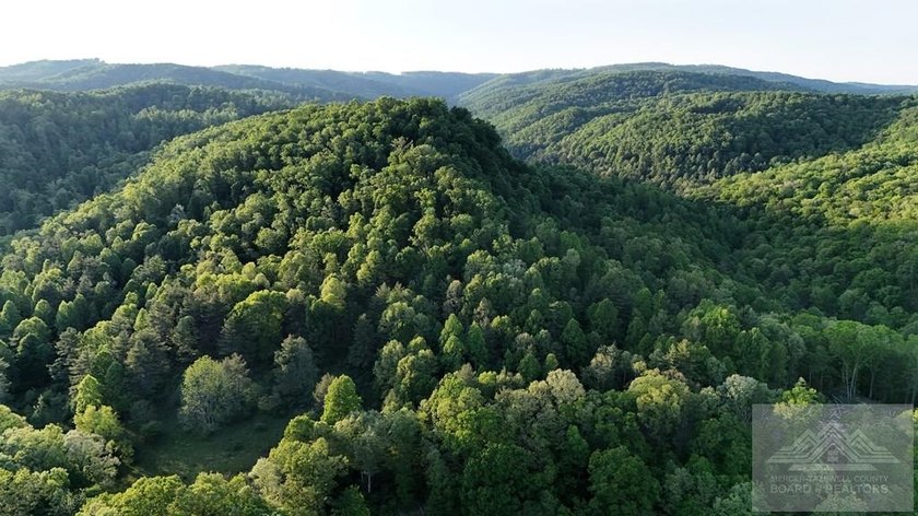 Welcome to Mountain Creek Meadow, offering 23.5 unrestricted - photo 2