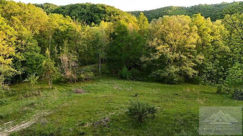 Welcome to Mountain Creek Meadow, offering 23.5 unrestricted - photo 3