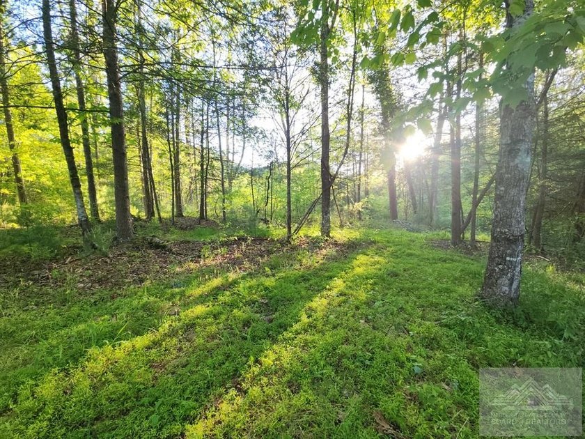 Welcome to Mountain Creek Meadow, offering 23.5 unrestricted - photo 4