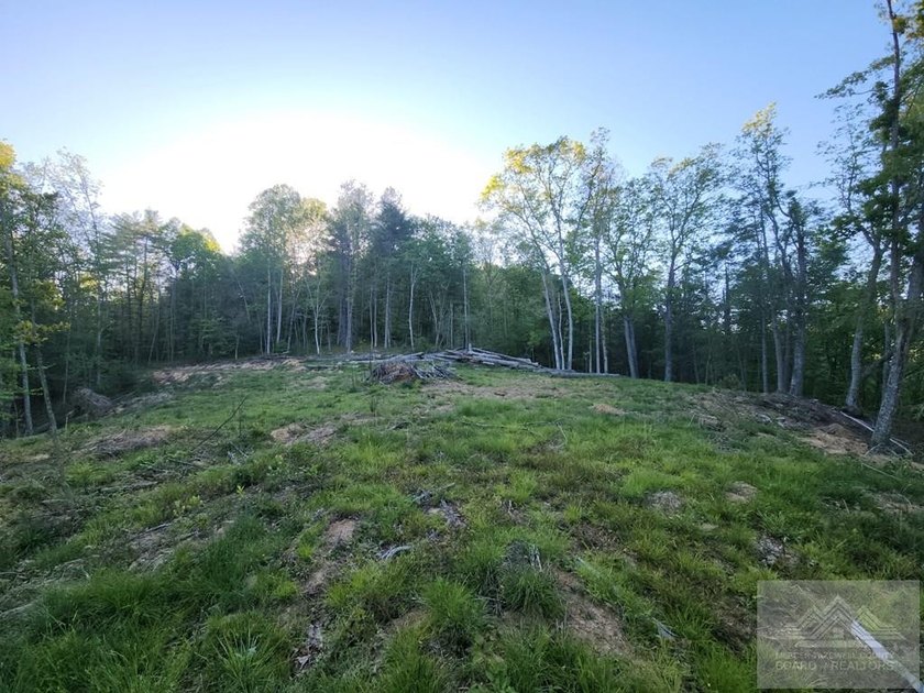 Welcome to Mountain Creek Meadow, offering 23.5 unrestricted - photo 5