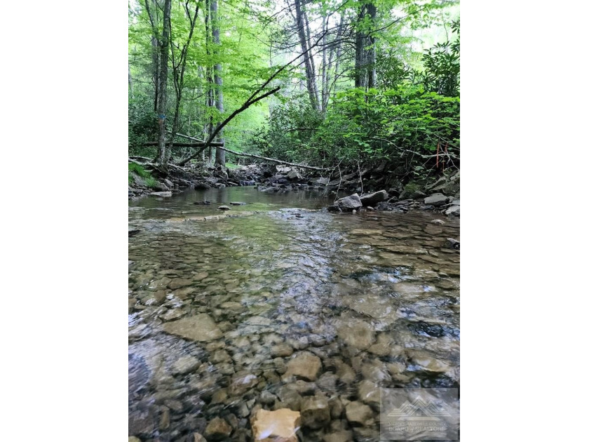 Welcome to Mountain Creek Meadow, offering 23.5 unrestricted - photo 6
