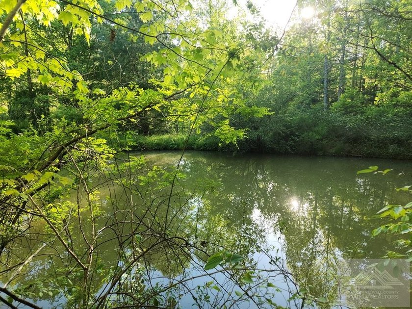 Welcome to Mountain Creek Meadow, offering 23.5 unrestricted - photo 7