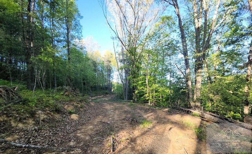 Welcome to Mountain Creek Meadow, offering 23.5 unrestricted - photo 9