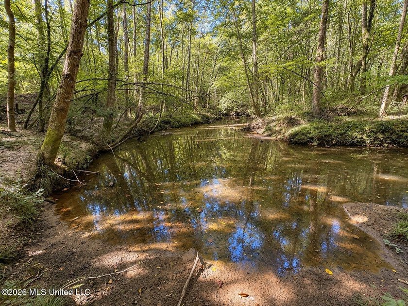 This 66+/- acre tract in the West Lincoln School District - photo 11