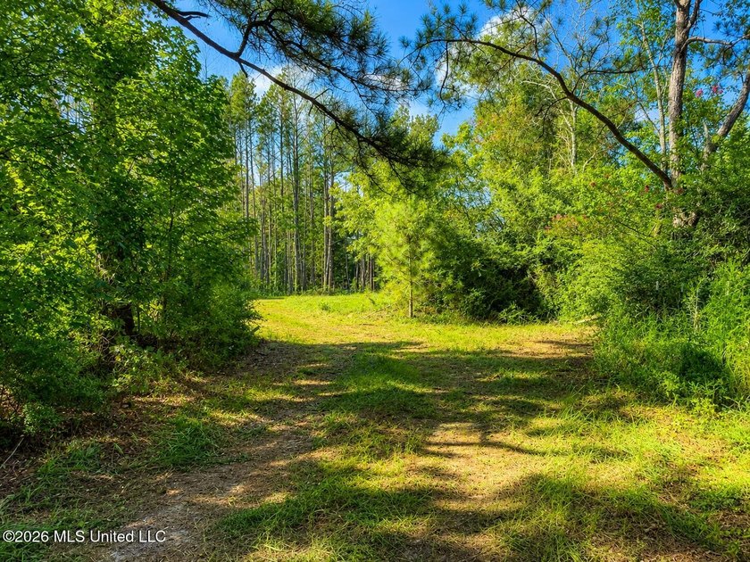 This 66+/- acre tract in the West Lincoln School District - photo 14